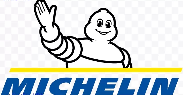 لوگو--michelin24